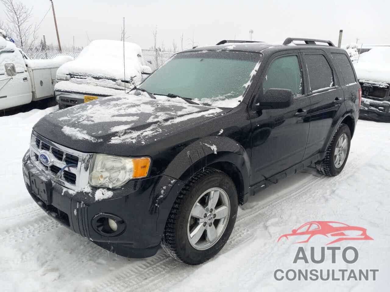 FORD ESCAPE 2011 - 1FMCU0DG0BKB95741