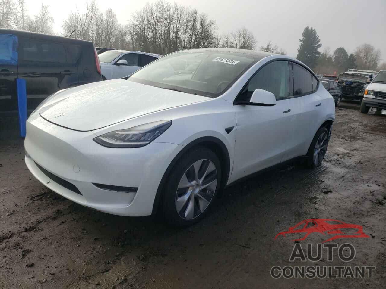 TESLA MODEL Y 2021 - 5YJYGDEE5MF094264