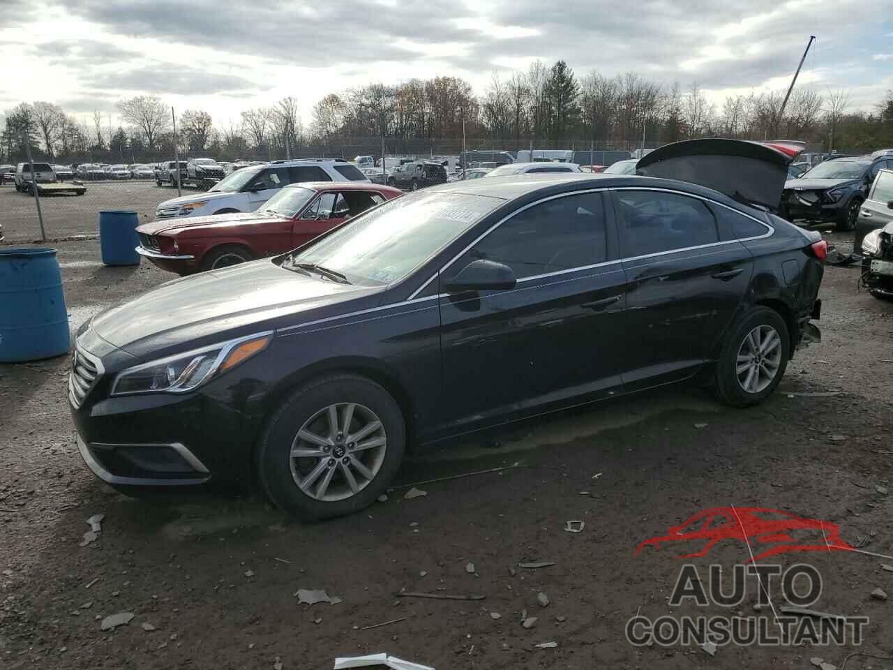 HYUNDAI SONATA 2016 - 5NPE24AF3GH333493