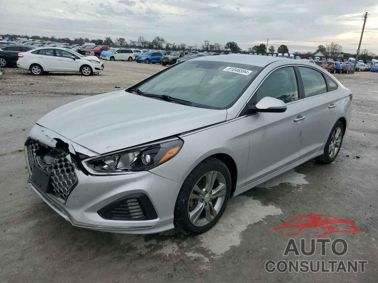 HYUNDAI SONATA 2019 - 5NPE34AF2KH774506