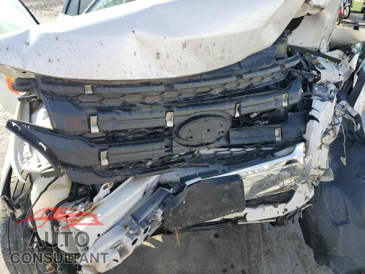 FORD EDGE 2011 - 2FMDK4KC2BBB43393