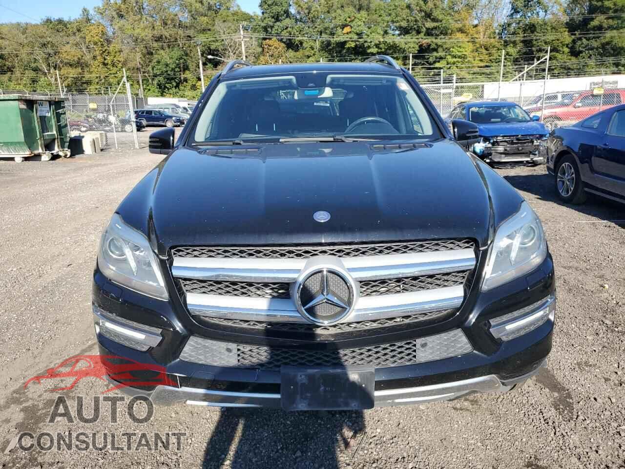MERCEDES-BENZ GL-CLASS 2013 - 4JGDF2EE0DA156020