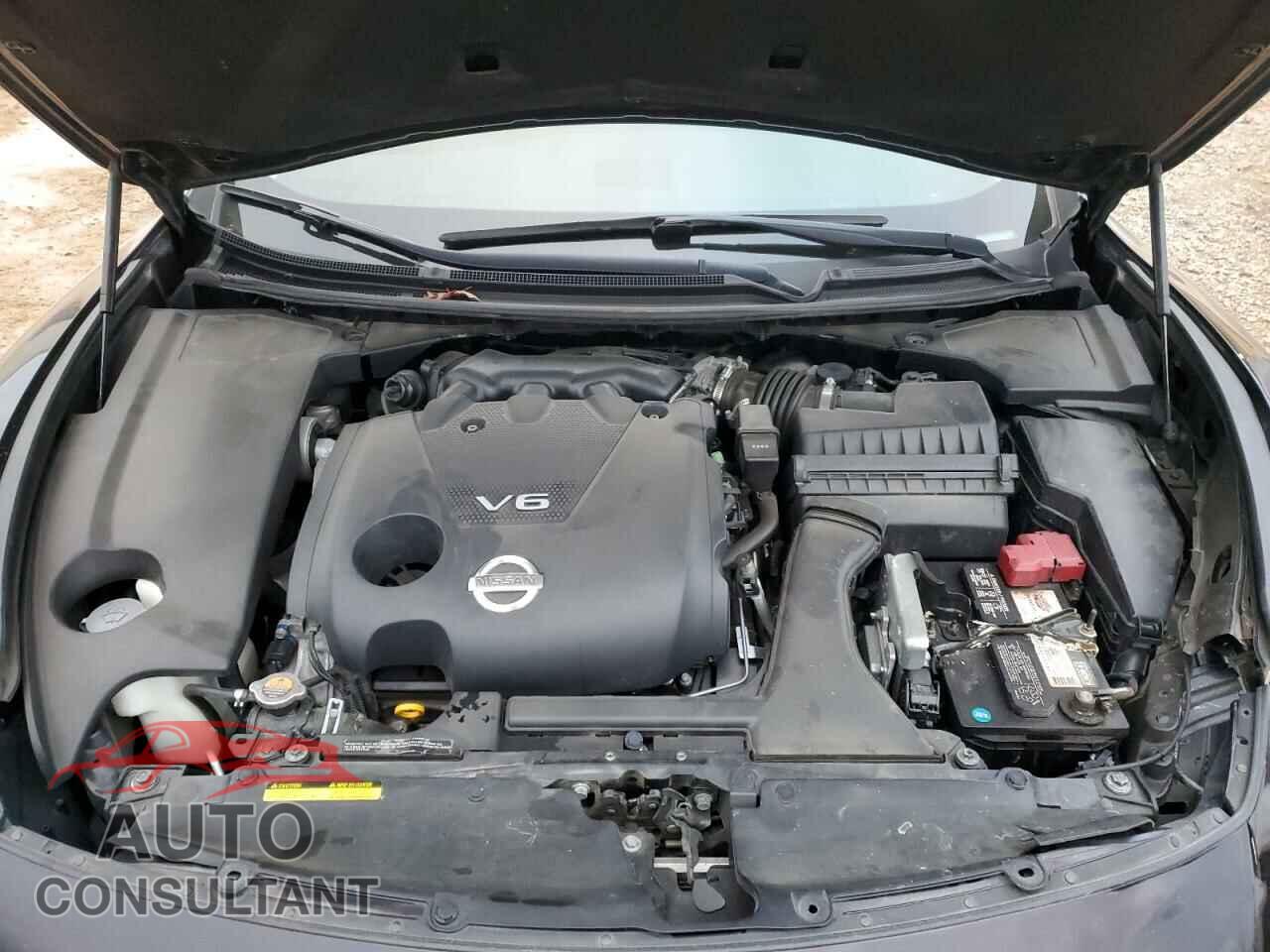 NISSAN MAXIMA 2011 - 1N4AA5AP1BC809668