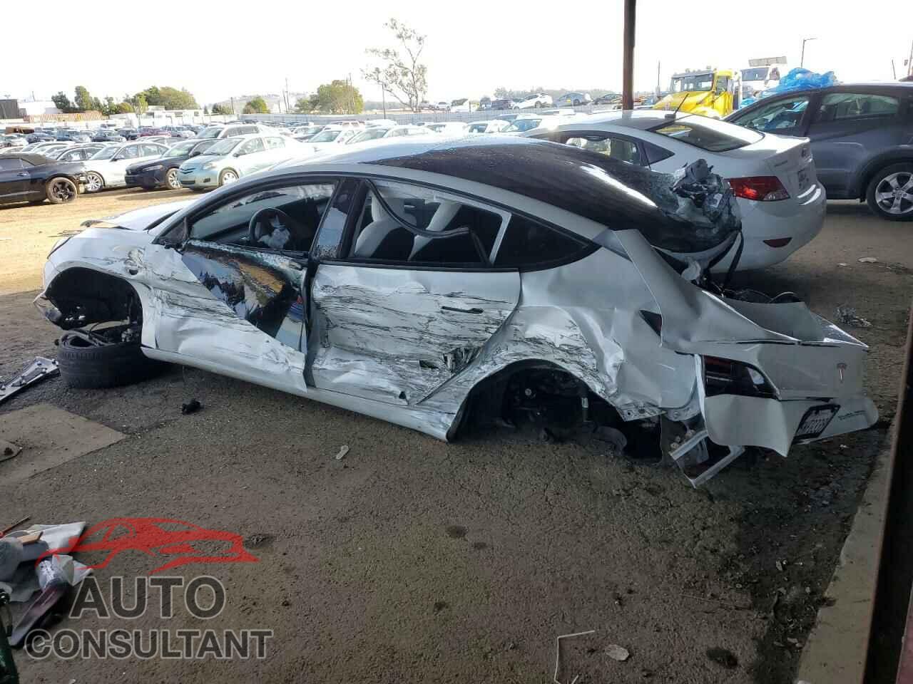 TESLA MODEL 3 2021 - 5YJ3E1EC4MF995641