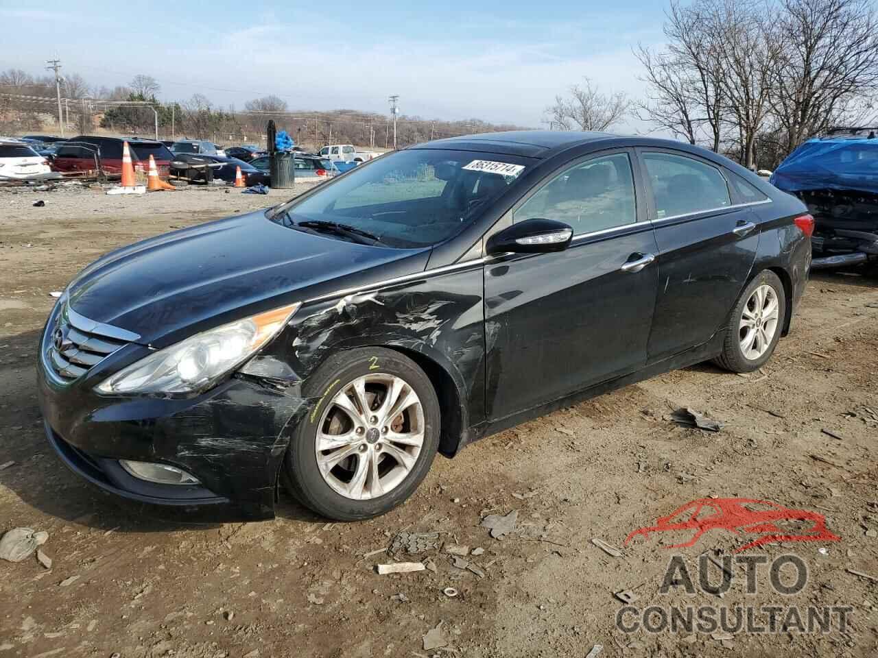 HYUNDAI SONATA 2013 - 5NPEC4AC3DH634859