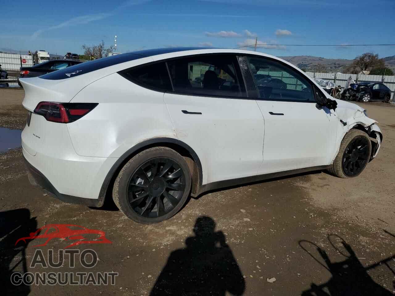 TESLA MODEL Y 2024 - 7SAYGAEE3RF043712