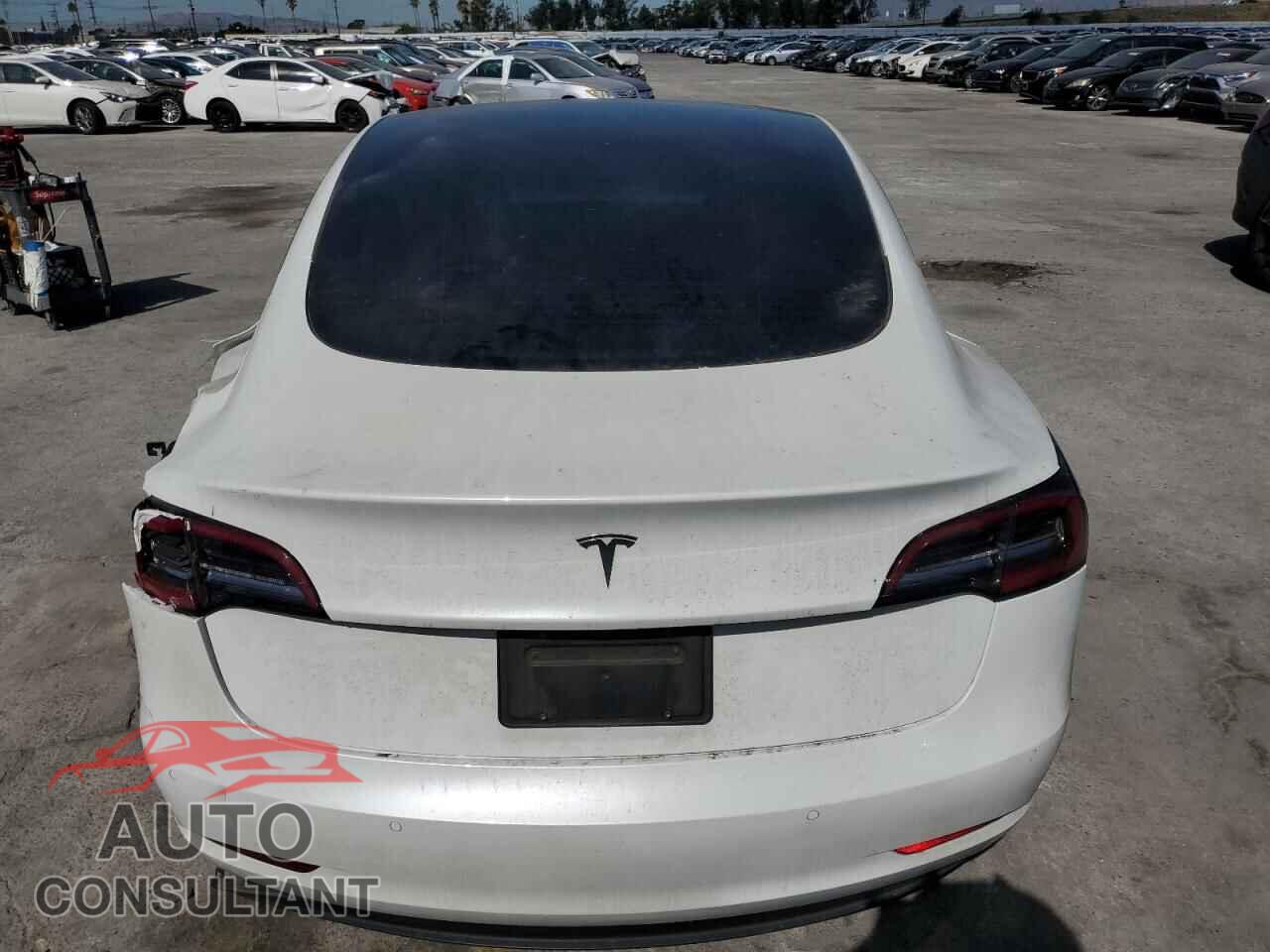 TESLA MODEL 3 2021 - 5YJ3E1EA3MF873576