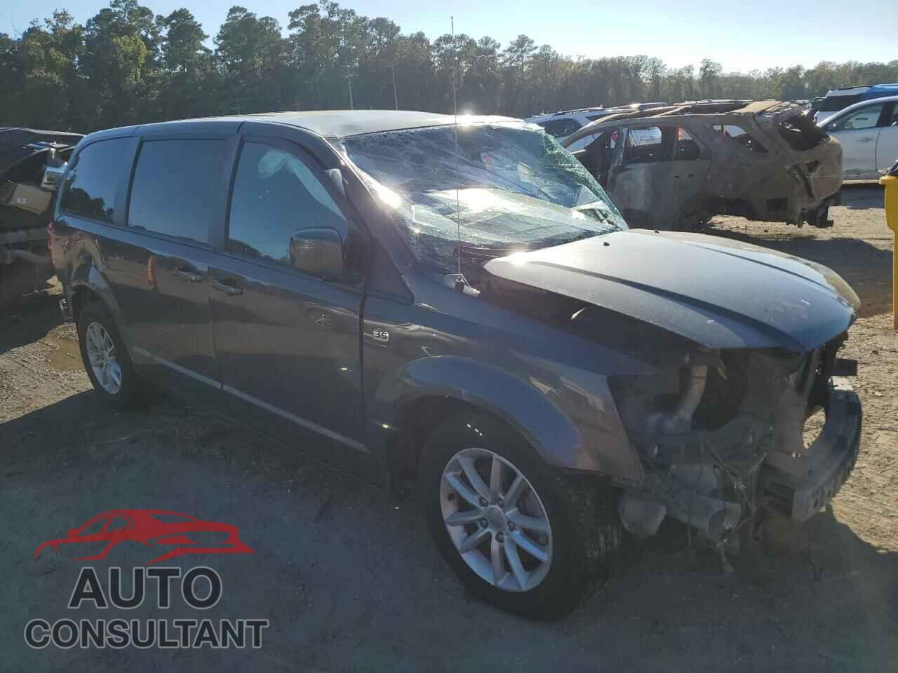 DODGE CARAVAN 2019 - 2C4RDGBG6KR783137