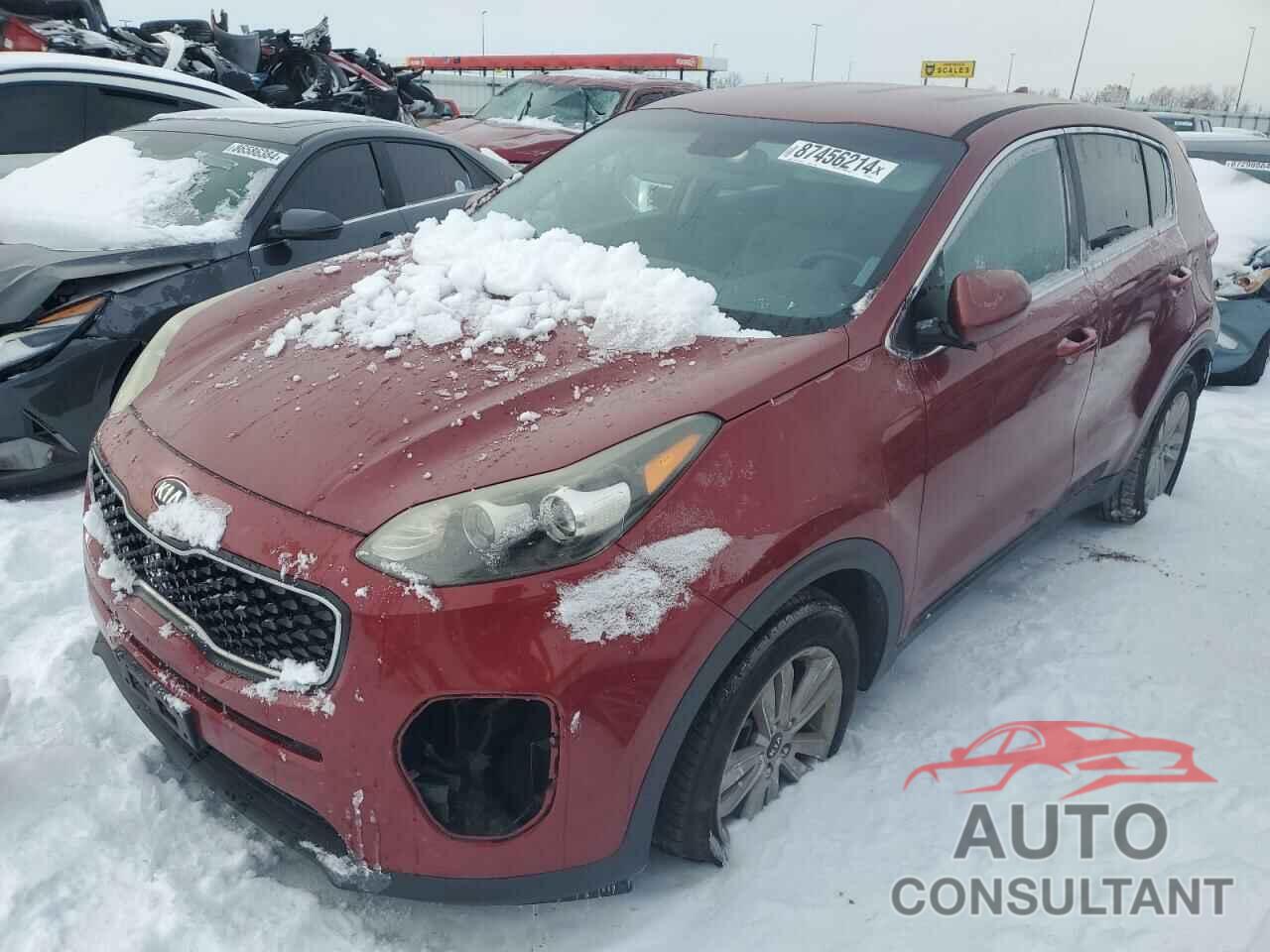 KIA SPORTAGE 2017 - KNDPM3AC9H7059581