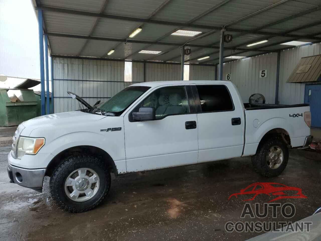 FORD F-150 2011 - 1FTFW1EF5BKD86644