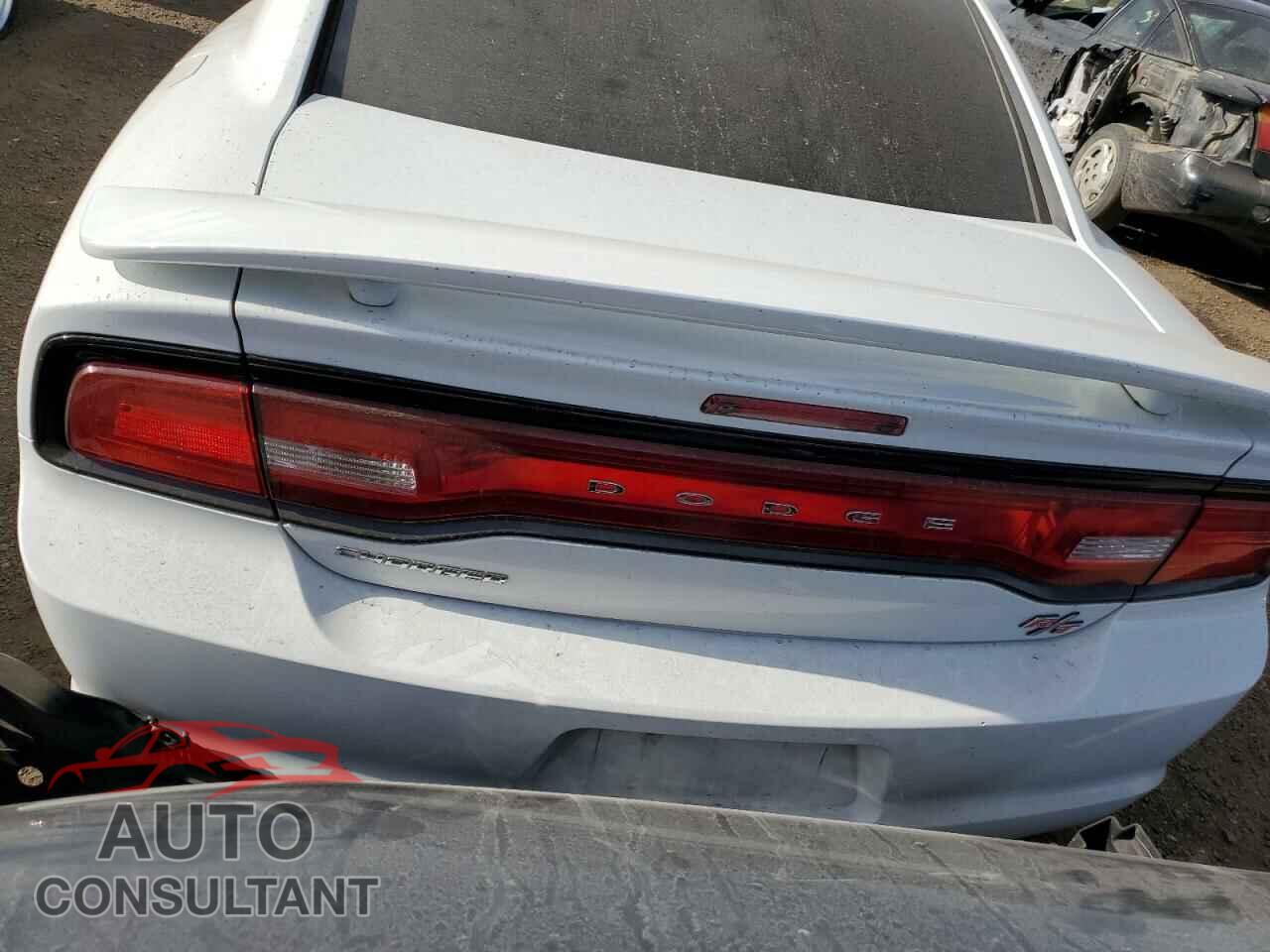 DODGE CHARGER 2014 - 2C3CDXCTXEH309191