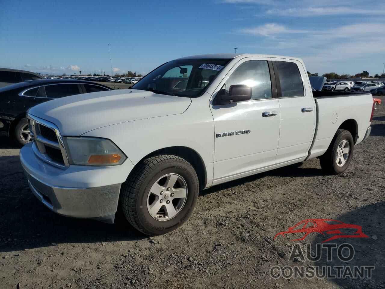DODGE All Models 2011 - 1D7RB1GPXBS525073