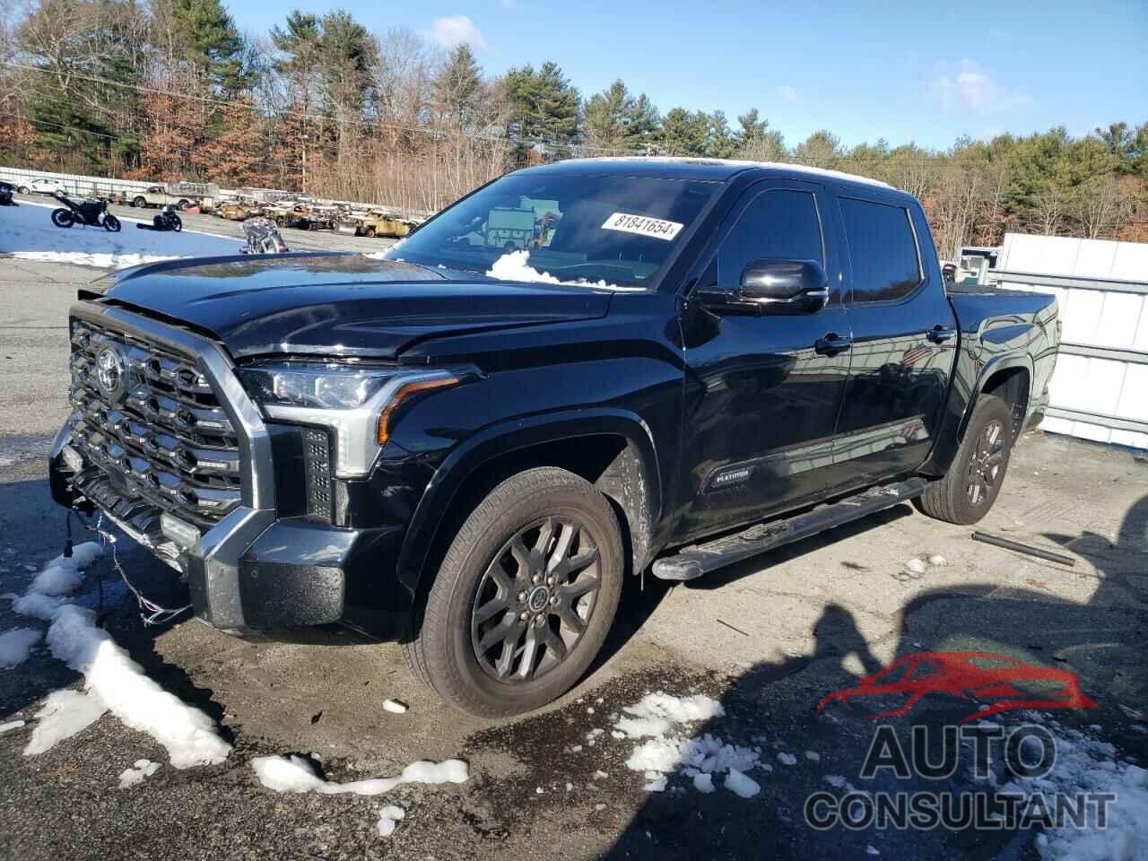 TOYOTA TUNDRA 2023 - 5TFNA5DB2PX123862