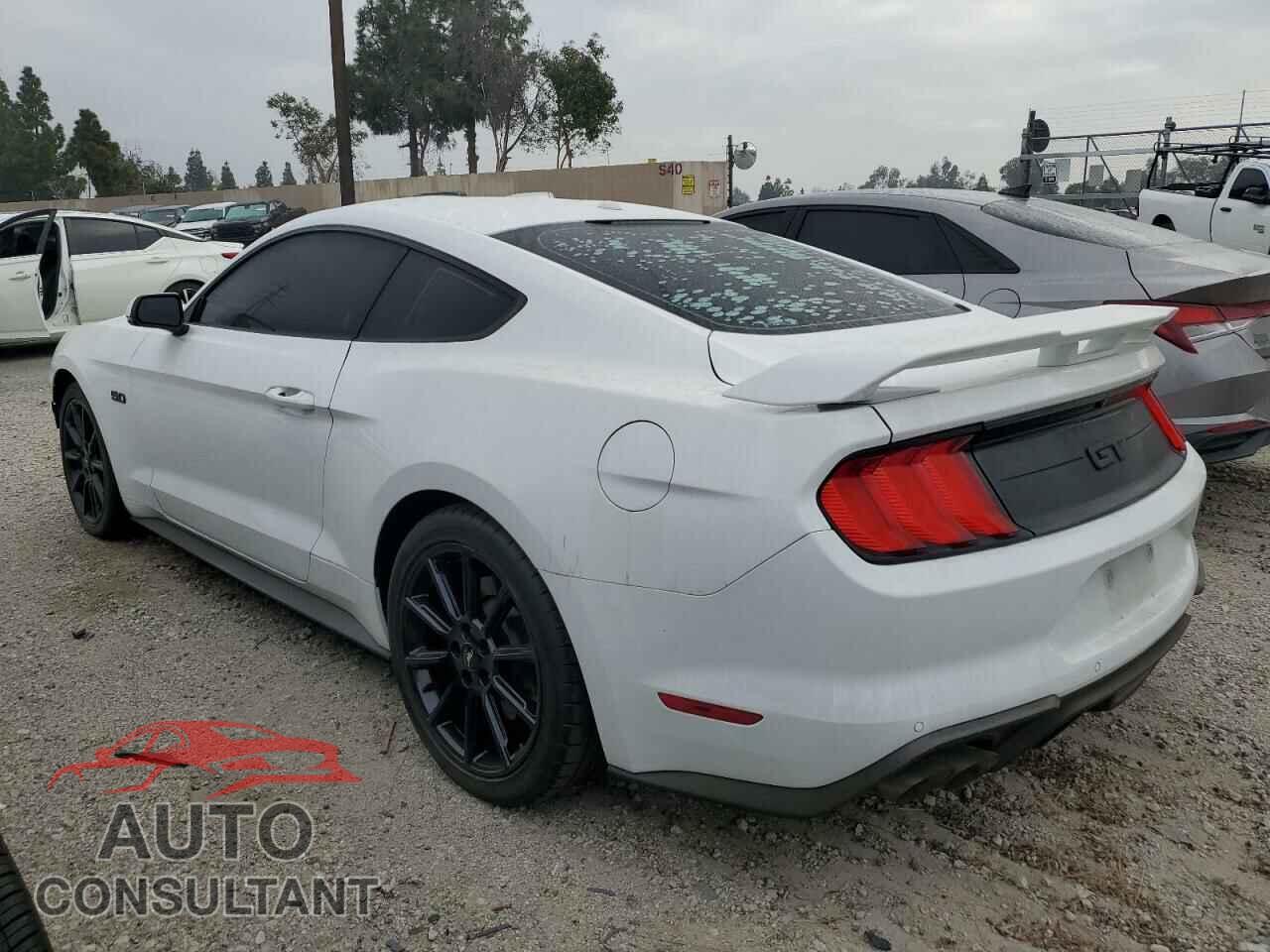 FORD MUSTANG 2019 - 1FA6P8CF4K5189736