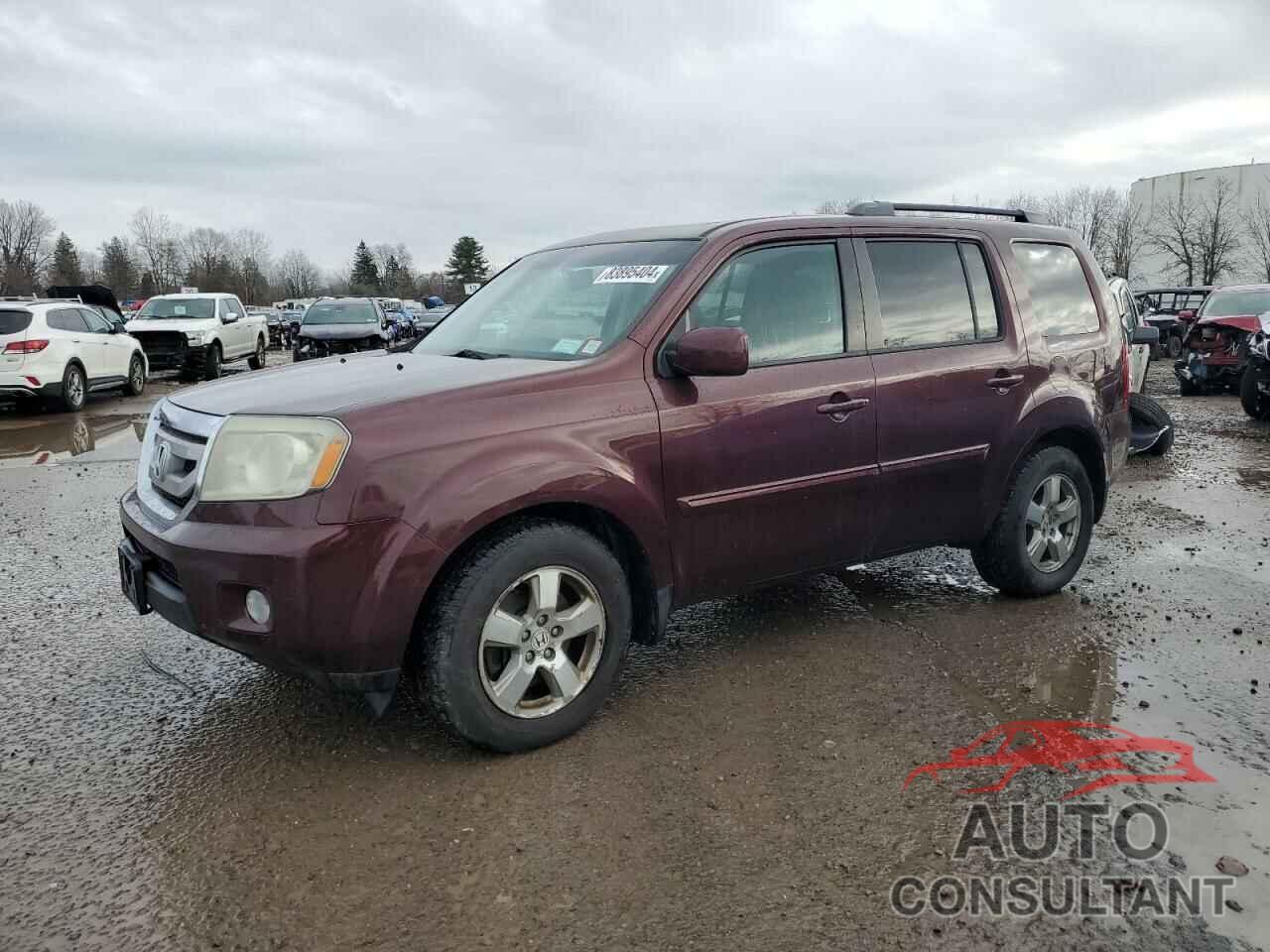 HONDA PILOT 2011 - 5FNYF4H69BB074345