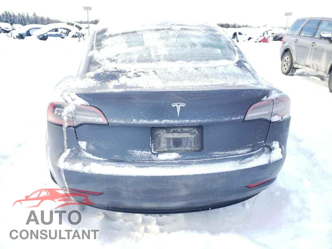 TESLA MODEL 3 2023 - LRW3E1FA9PC899953