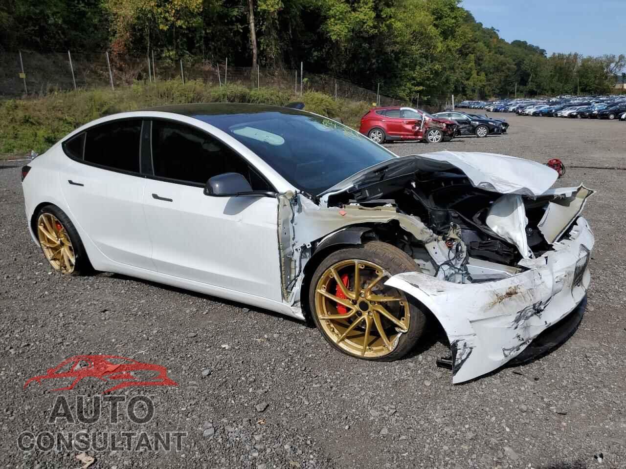 TESLA MODEL 3 2024 - 5YJ3E1ETXRF796195