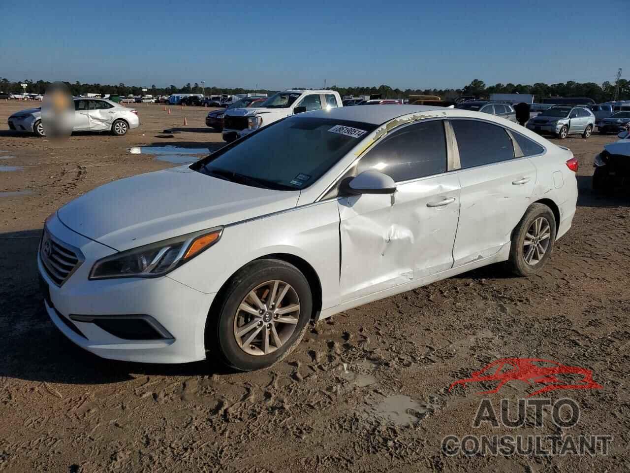 HYUNDAI SONATA 2016 - 5NPE24AF7GH370238