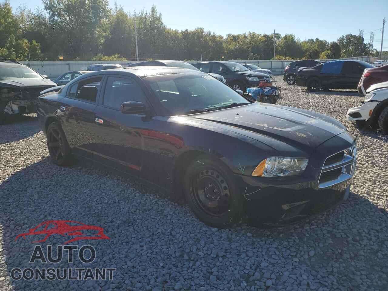 DODGE CHARGER 2014 - 2C3CDXCT9EH339041