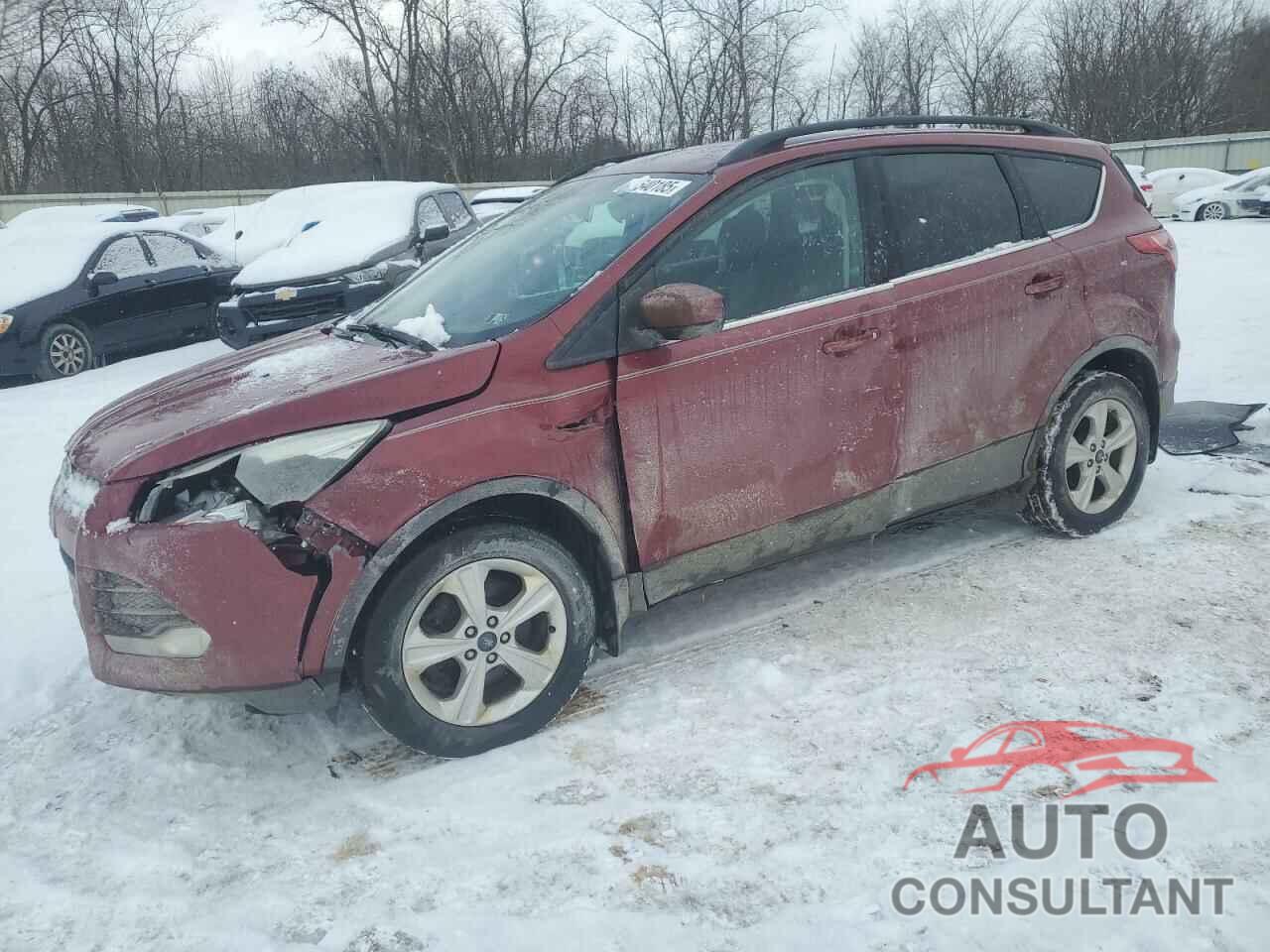 FORD ESCAPE 2014 - 1FMCU9GX4EUB25135