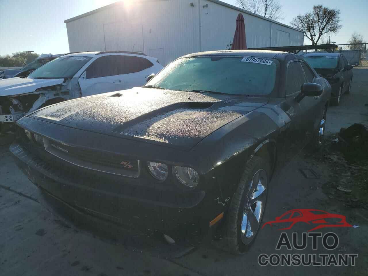 DODGE CHALLENGER 2013 - 2C3CDYBTXDH535222