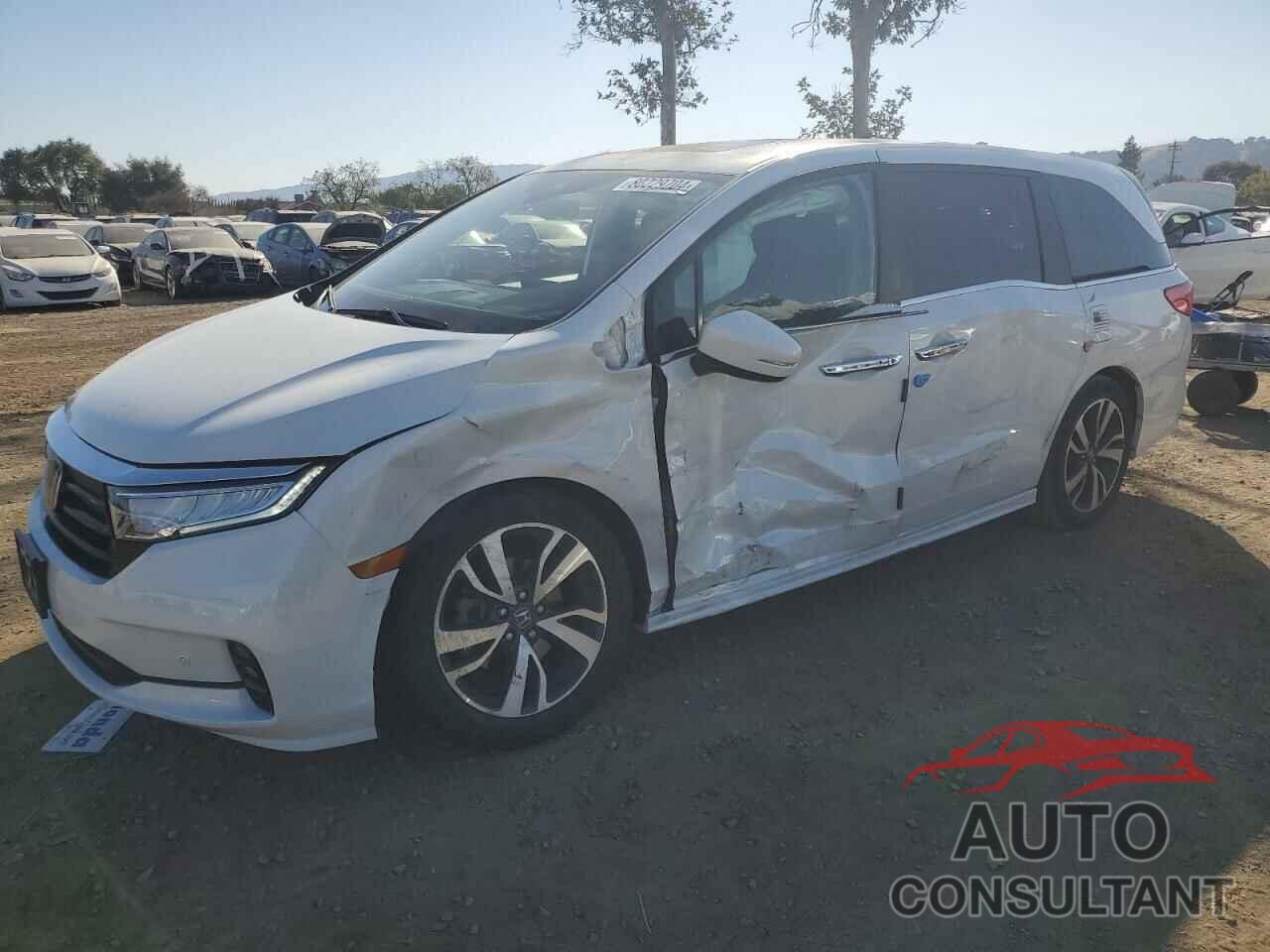 HONDA ODYSSEY 2022 - 5FNRL6H82NB028838