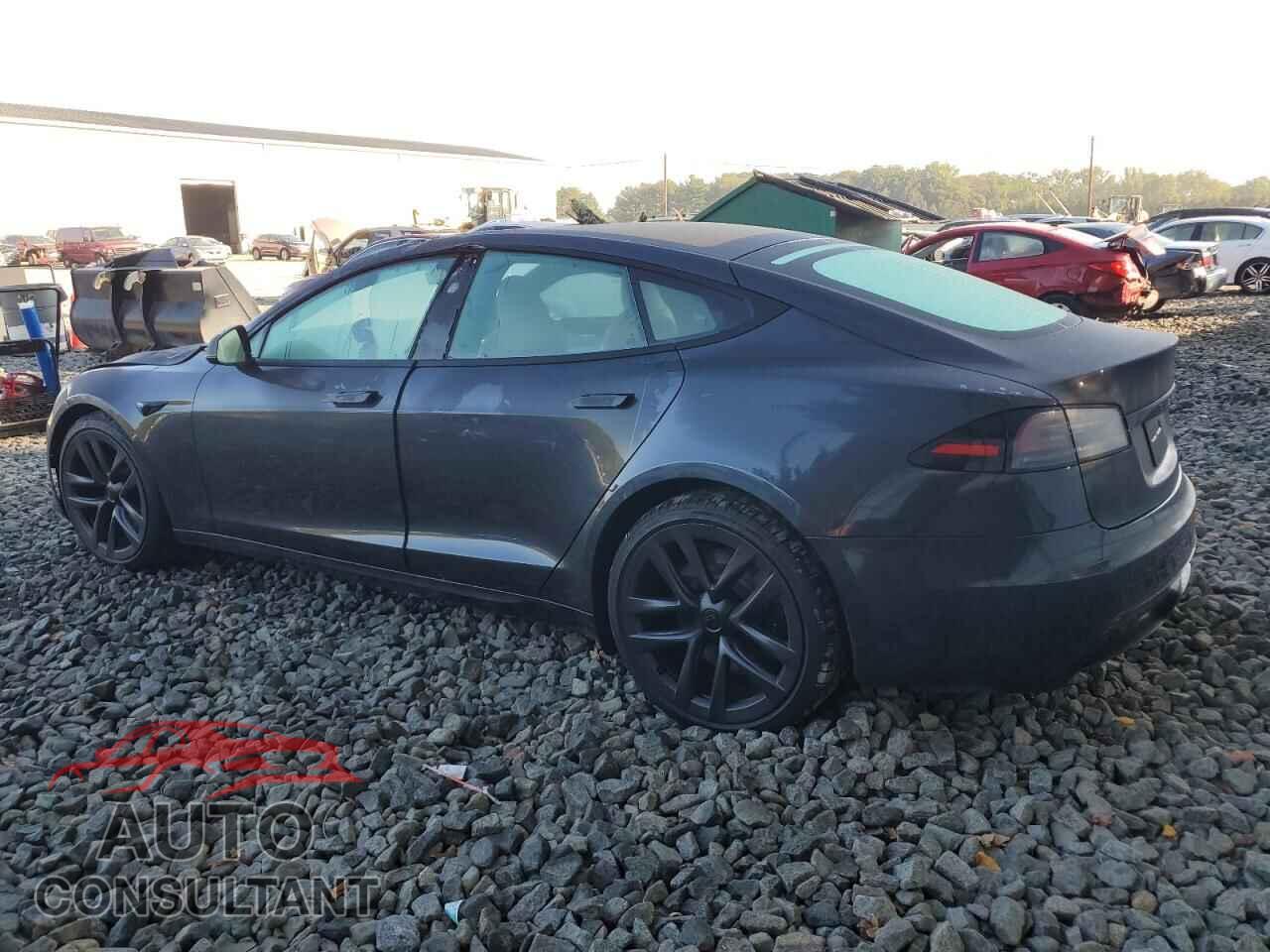 TESLA MODEL S 2024 - 5YJSA1E55RF538627