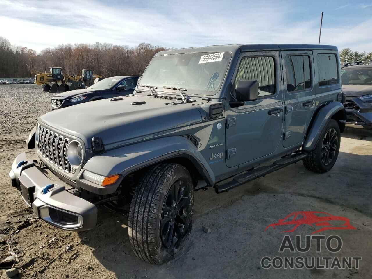 JEEP WRANGLER 2024 - 1C4RJXP60RW298048