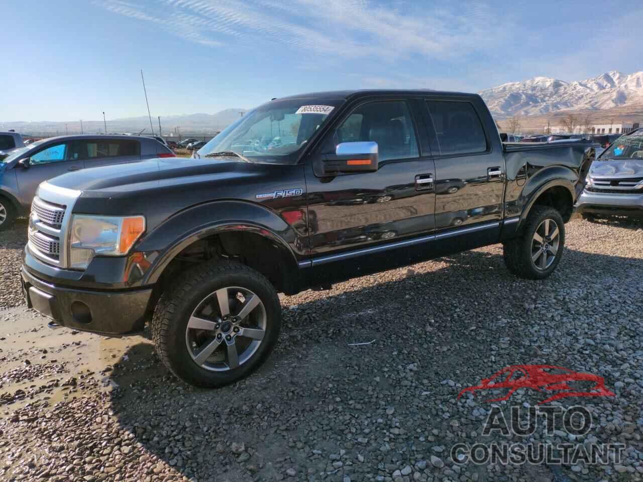 FORD F-150 2010 - 1FTFW1EV2AFD55902