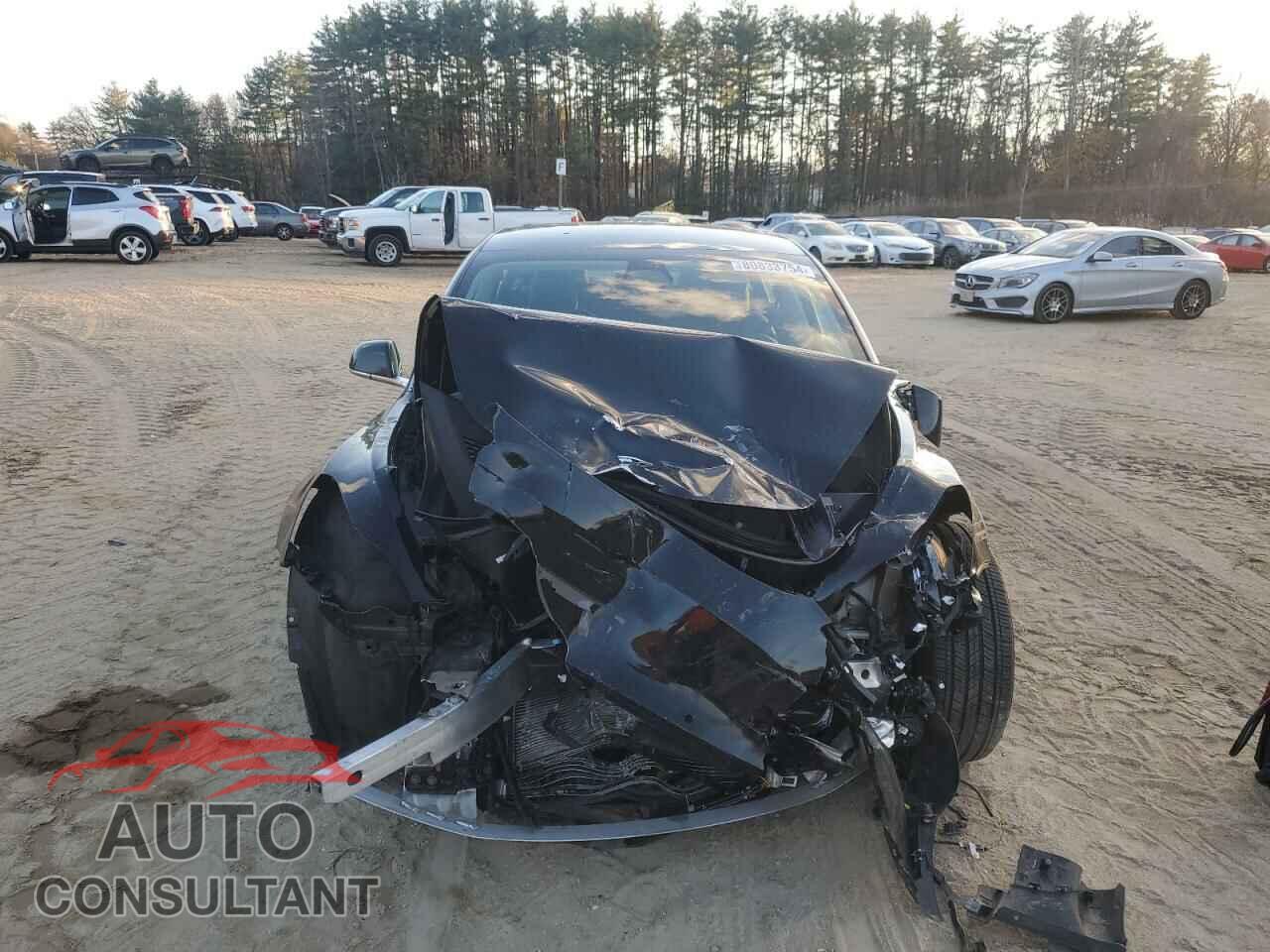 TESLA MODEL 3 2019 - 5YJ3E1EB3KF385587