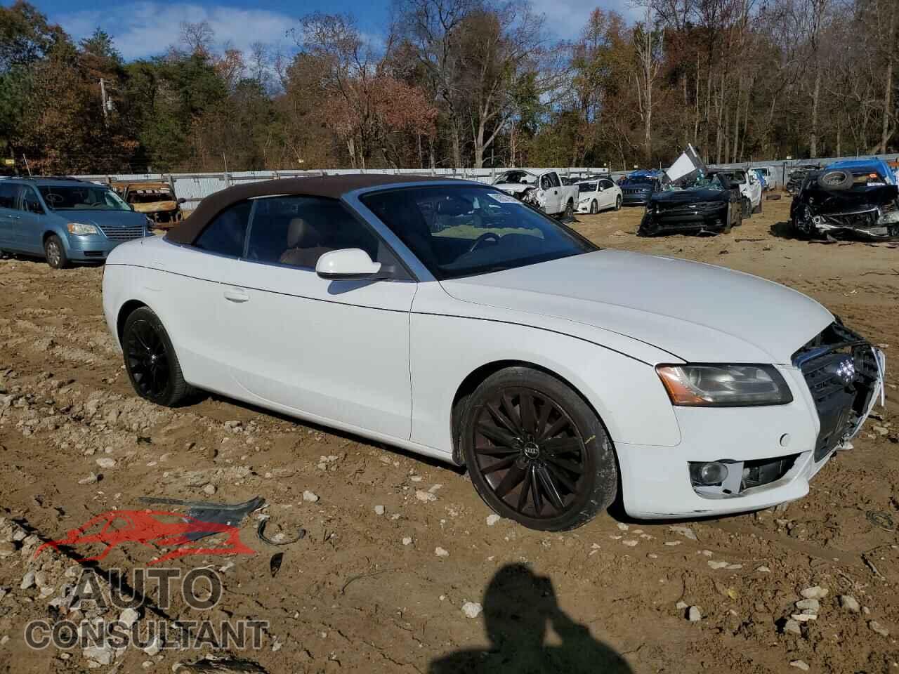 AUDI A5 2011 - WAULFAFH7BN002829