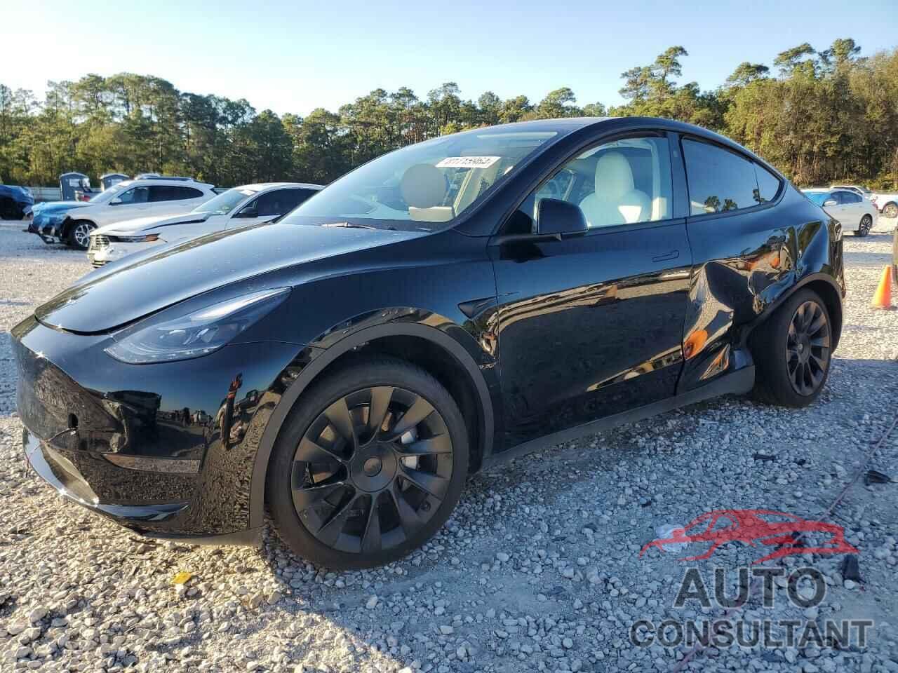 TESLA MODEL Y 2024 - 7SAYGDED2RF162151