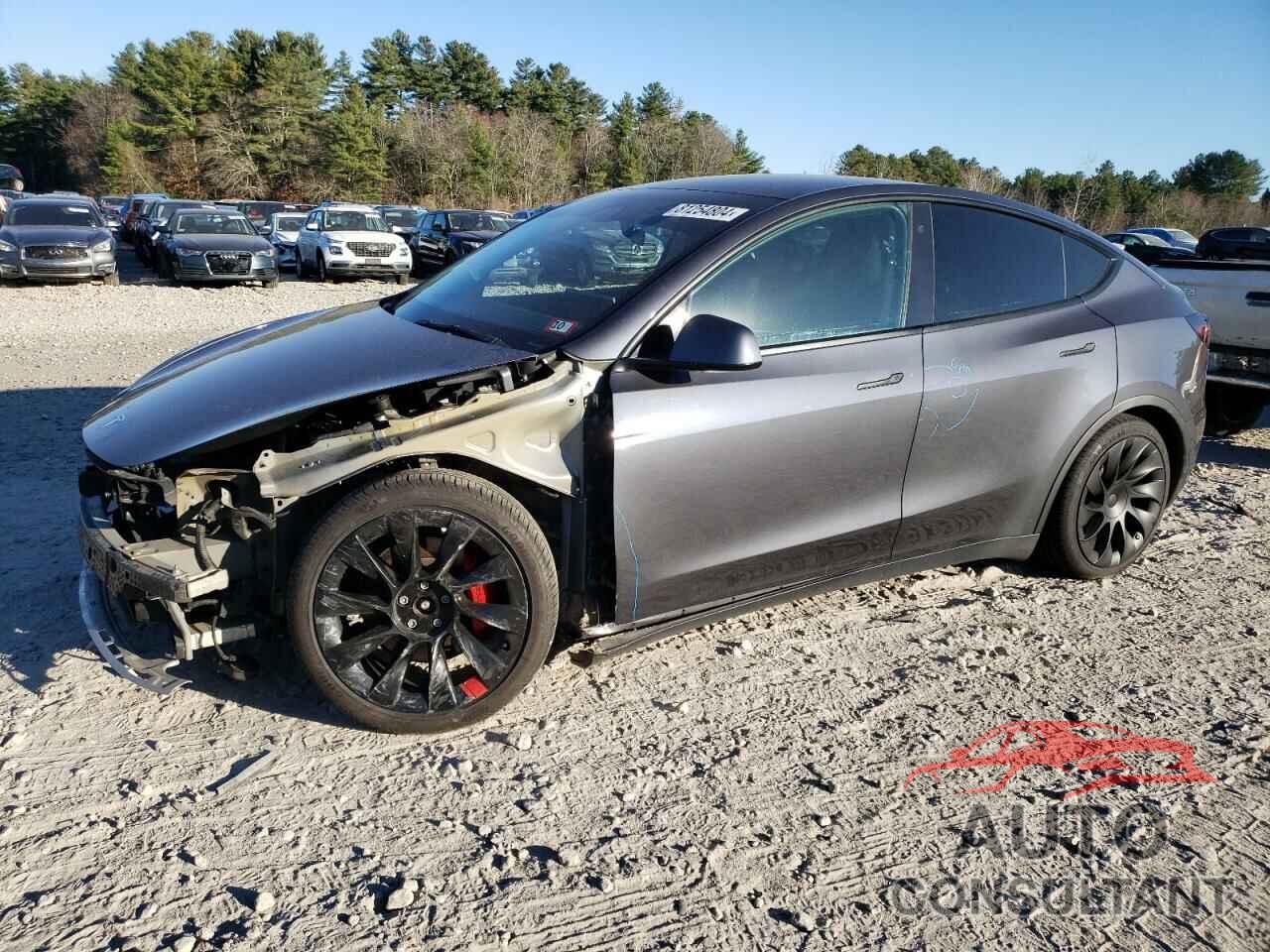 TESLA MODEL Y 2021 - 5YJYGDEE1MF182048