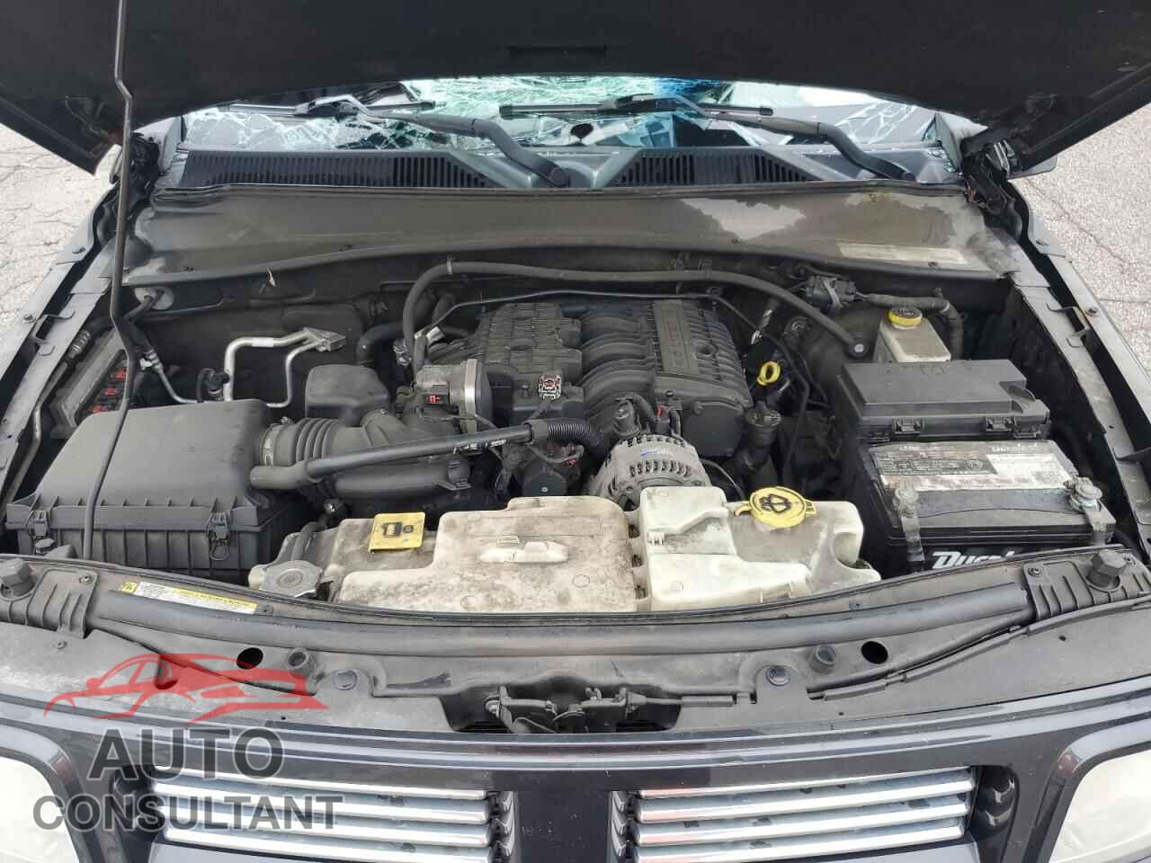 DODGE NITRO 2011 - 1D4PU4GX5BW501613