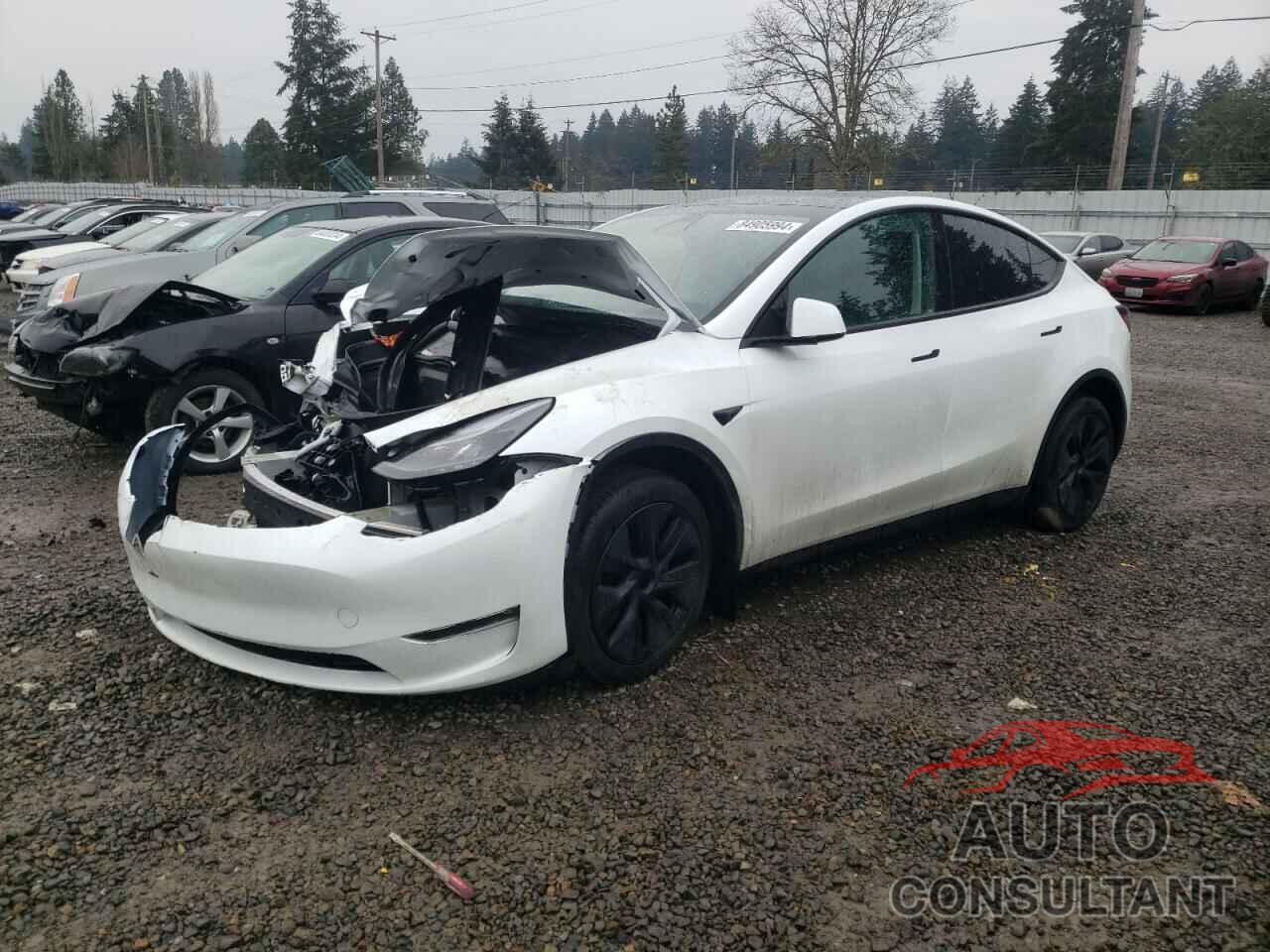 TESLA MODEL Y 2024 - 7SAYGDEE0RF214109