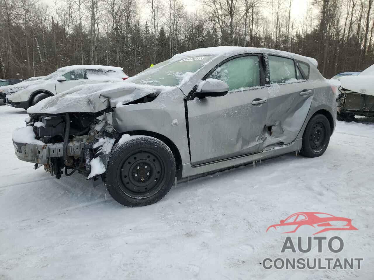 MAZDA MAZDA3 2010 - JM1BL1H51A1236903