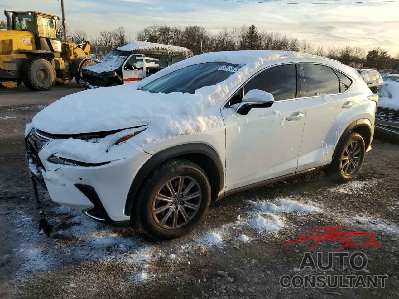 LEXUS NX 2019 - JTJBARBZ7K2185402