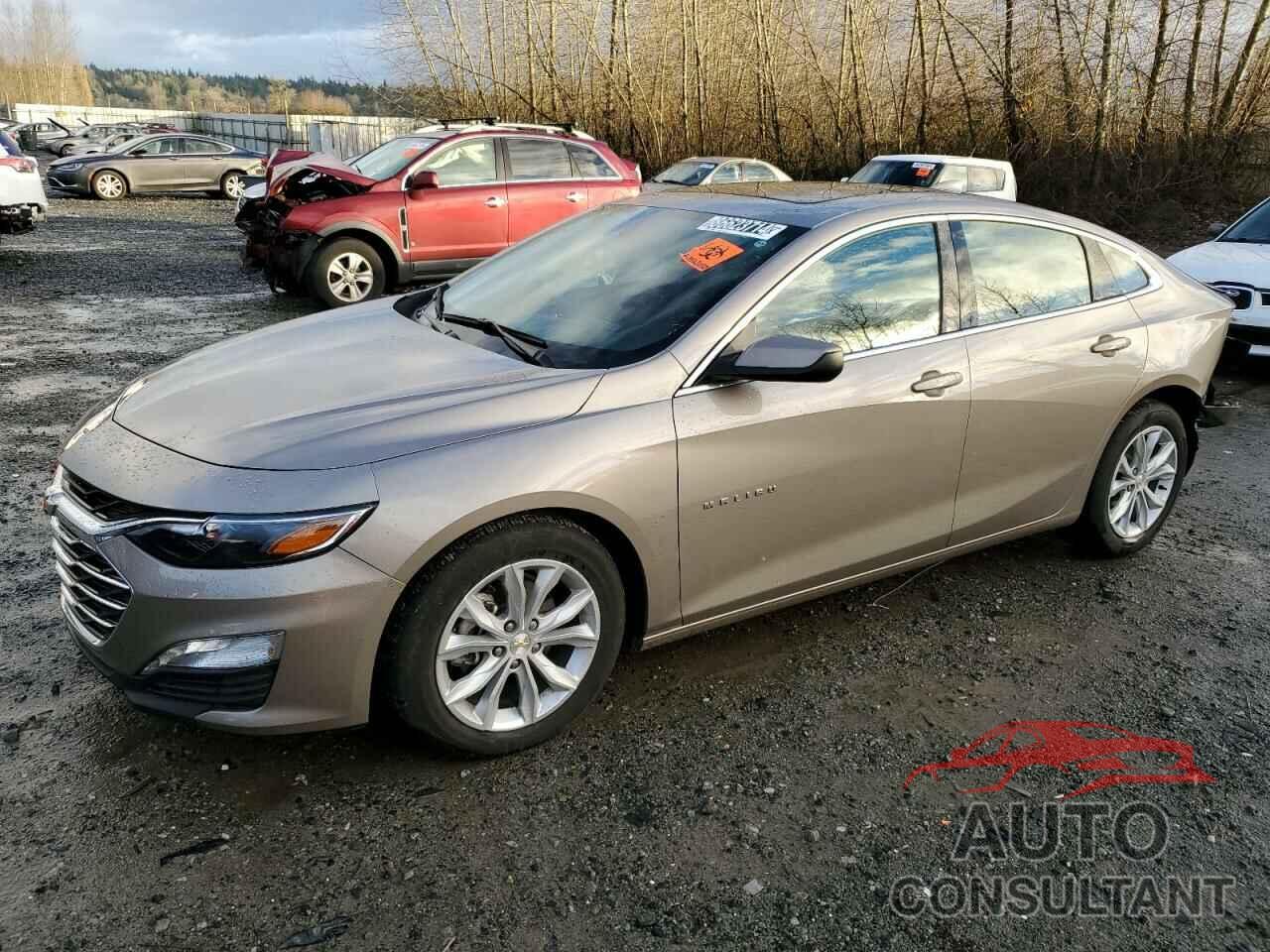 CHEVROLET MALIBU 2024 - 1G1ZD5STXRF201973
