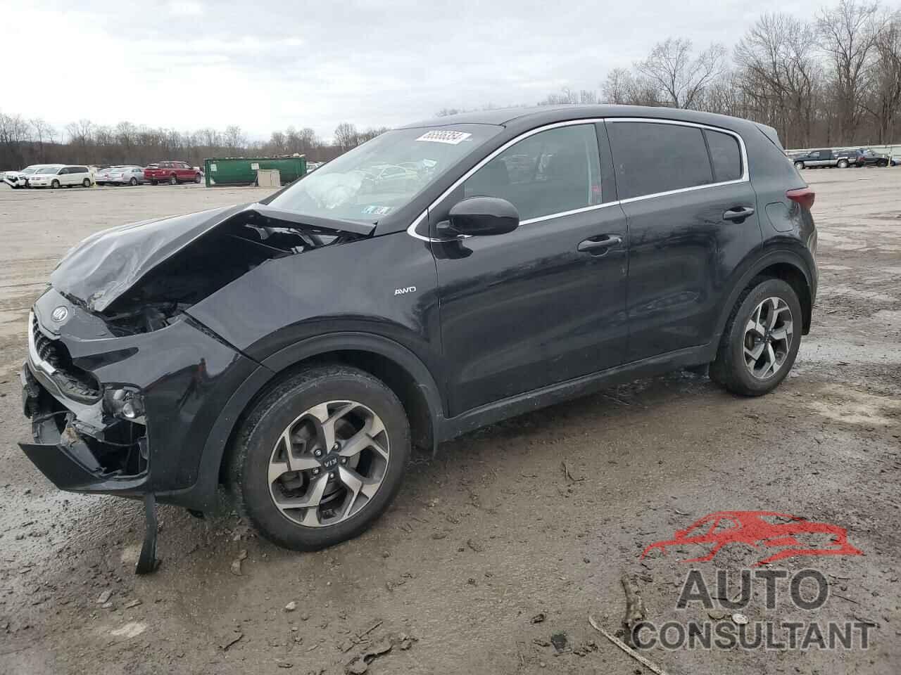 KIA SPORTAGE 2020 - KNDPMCAC3L7703911