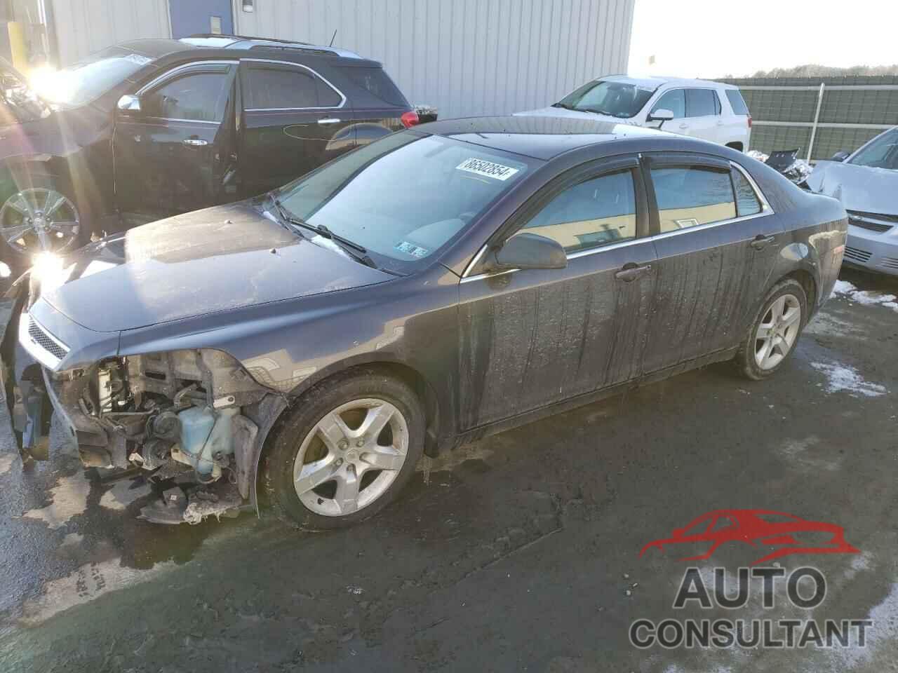 CHEVROLET MALIBU 2011 - 1G1ZA5E12BF346126