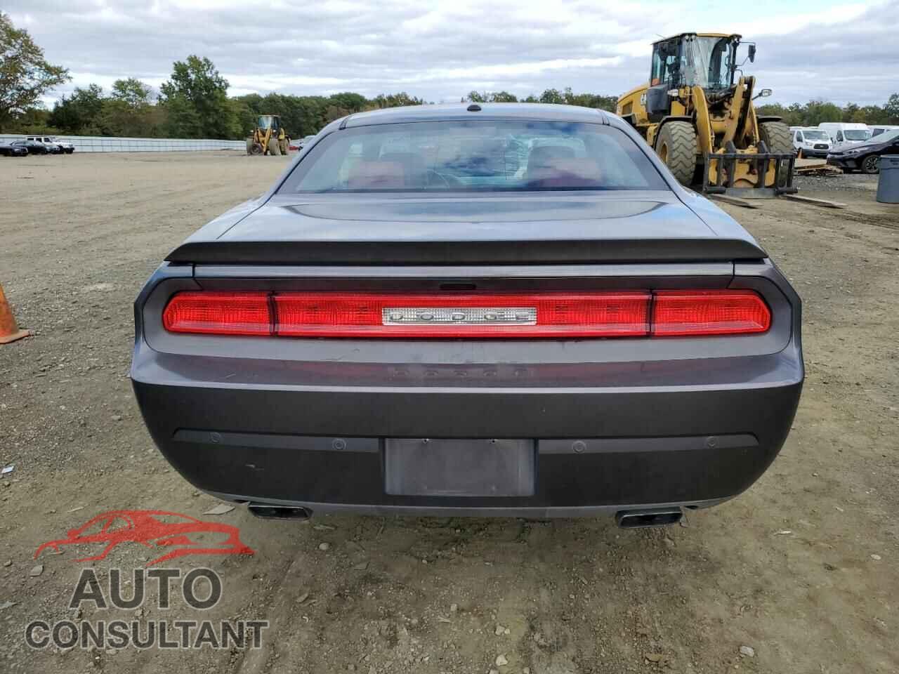DODGE CHALLENGER 2013 - 2C3CDYBT4DH541789