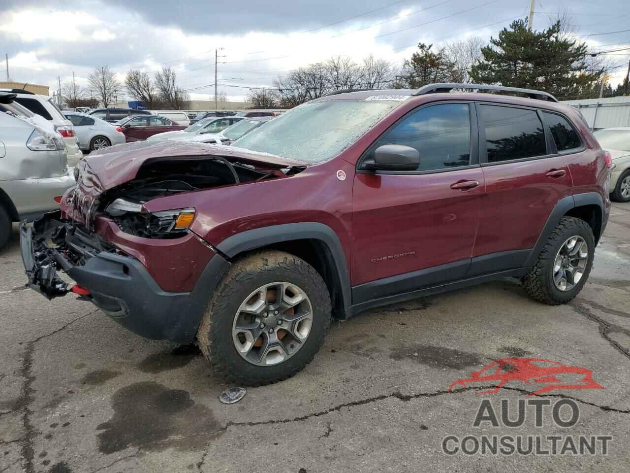JEEP CHEROKEE 2019 - 1C4PJMBX8KD229132