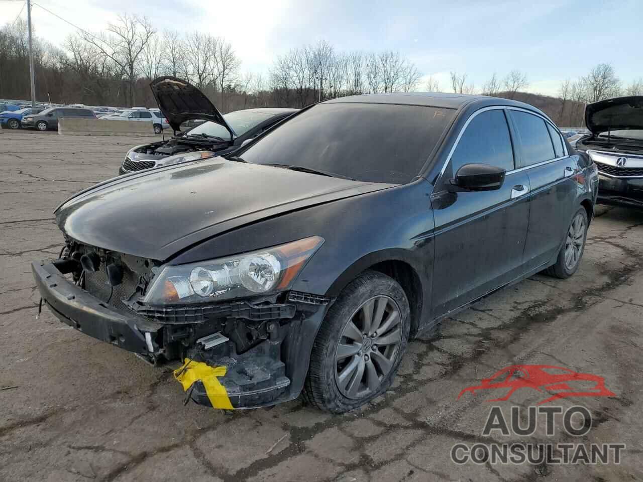 HONDA ACCORD 2012 - 1HGCP3F80CA017484