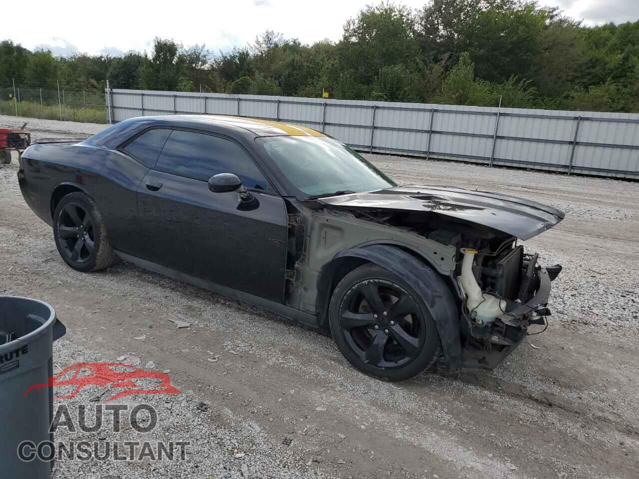 DODGE CHALLENGER 2013 - 2C3CDYAG8DH511604