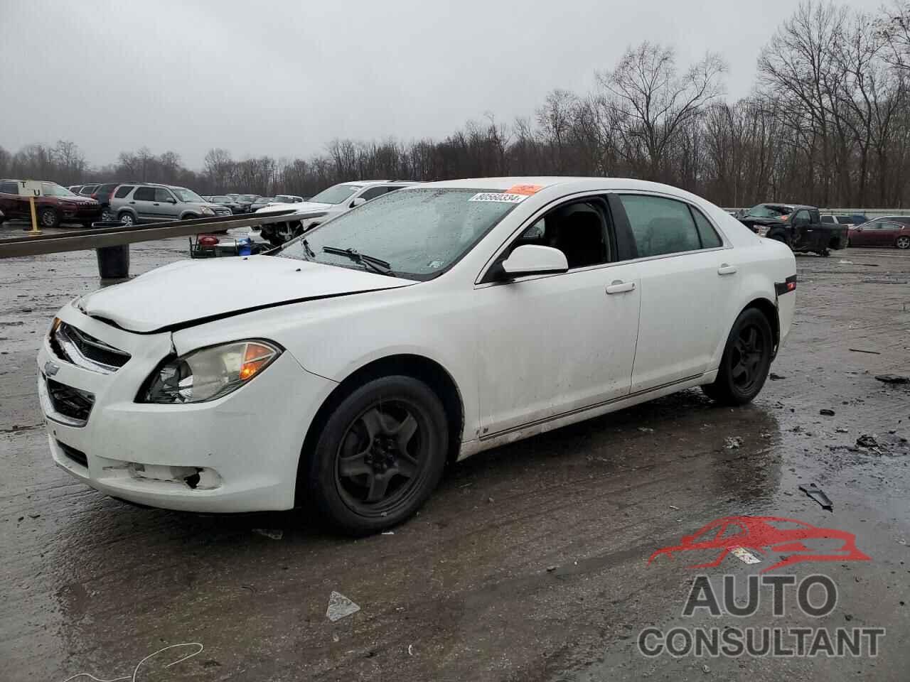 CHEVROLET MALIBU 2009 - 1G1ZH57B29F243767