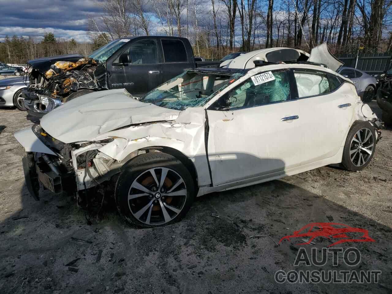 NISSAN MAXIMA 2017 - 1N4AA6AP2HC442617