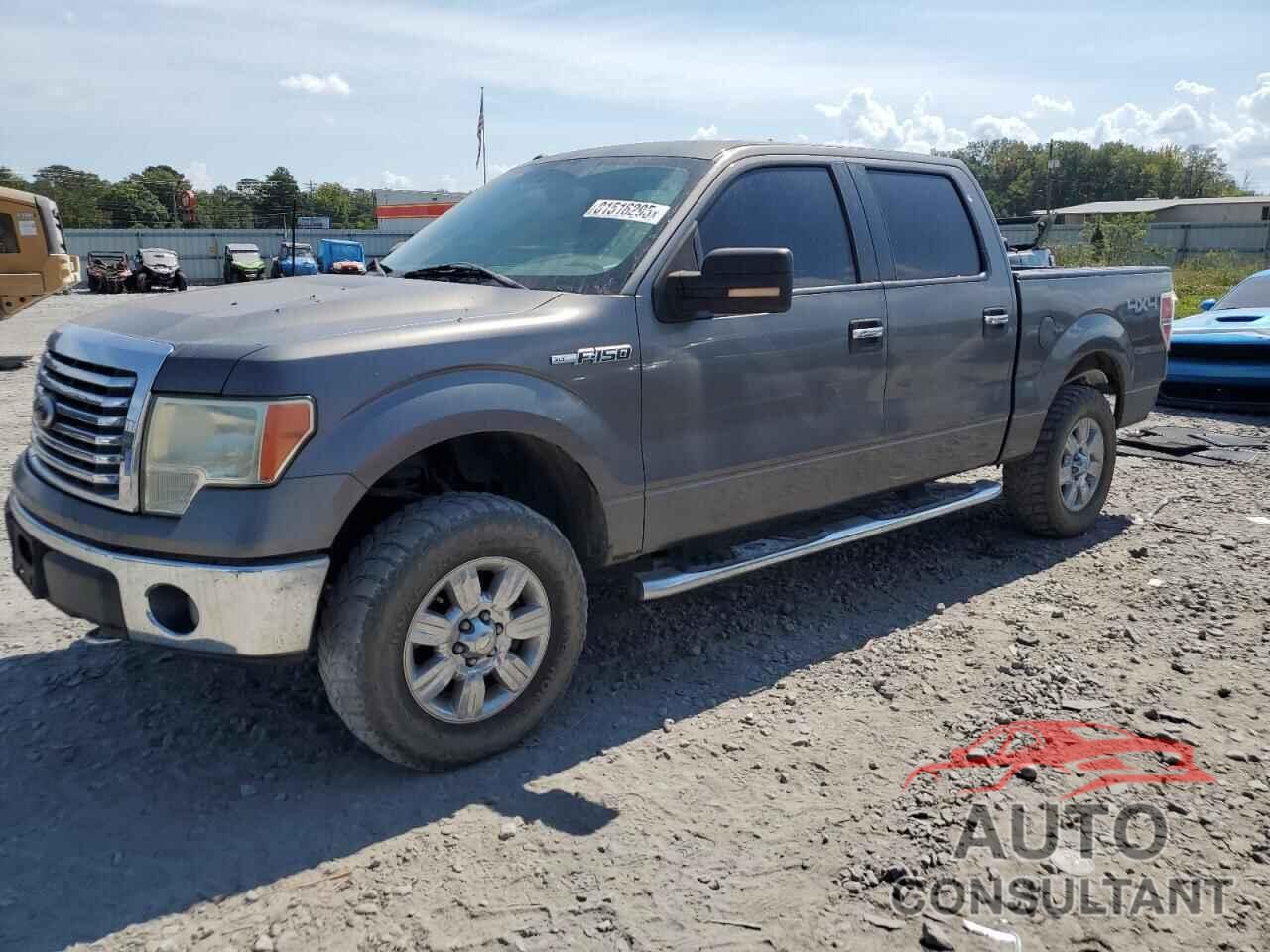 FORD F-150 2010 - 1FTFW1EV3AFC81843
