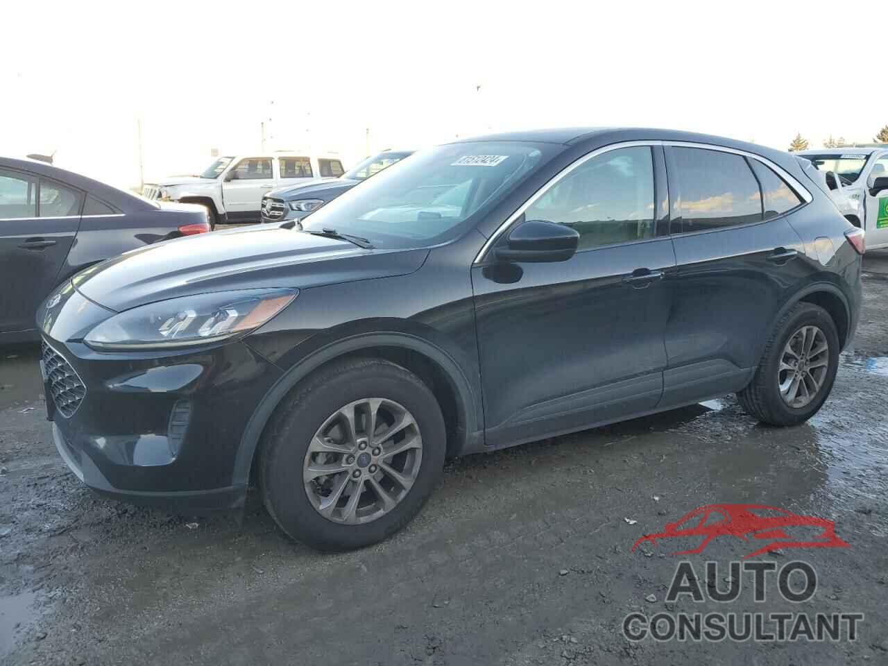 FORD ESCAPE 2020 - 1FMCU0G6XLUC74410