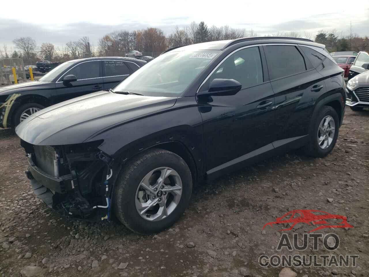 HYUNDAI TUCSON 2024 - 5NMJB3DE4RH398591