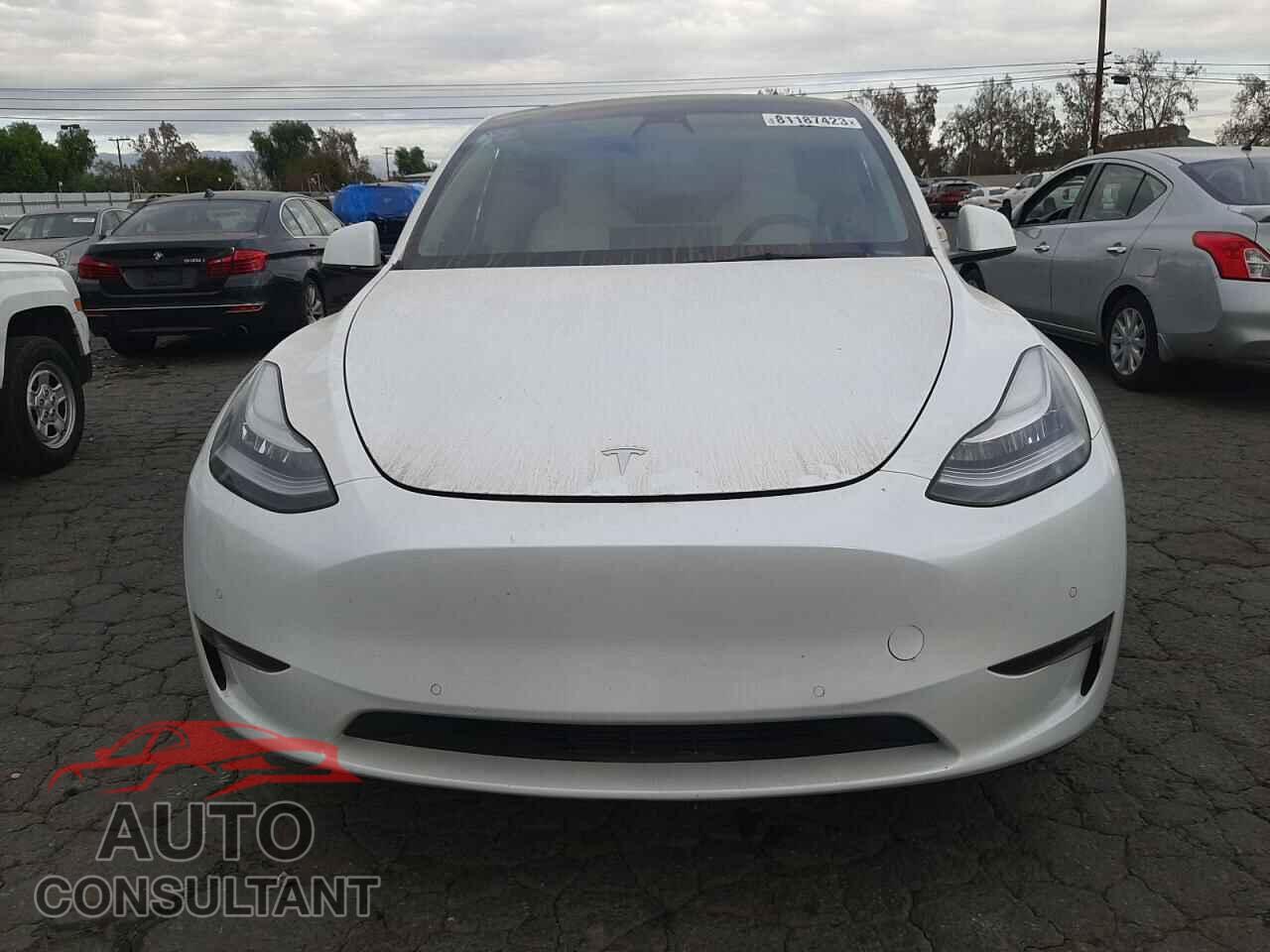 TESLA MODEL Y 2021 - 5YJYGAEE6MF228259